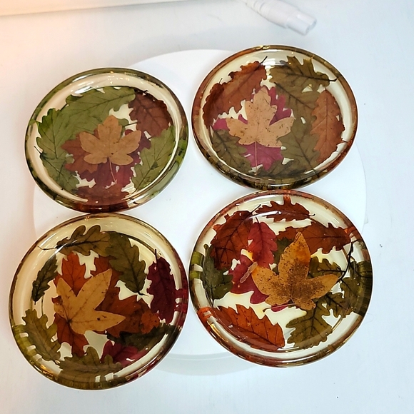 Lucite Fall Leaves Coasters - Picture 1 of 9